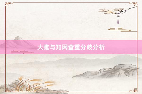 大雅与知网查重分歧分析